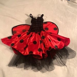 Ladybug Costume-up to 24m